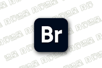 Adobe Bridge 2026(v16.0)-m0nkrus 多语言版