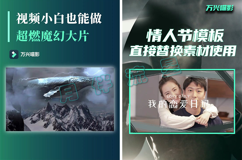 万兴喵影2.png